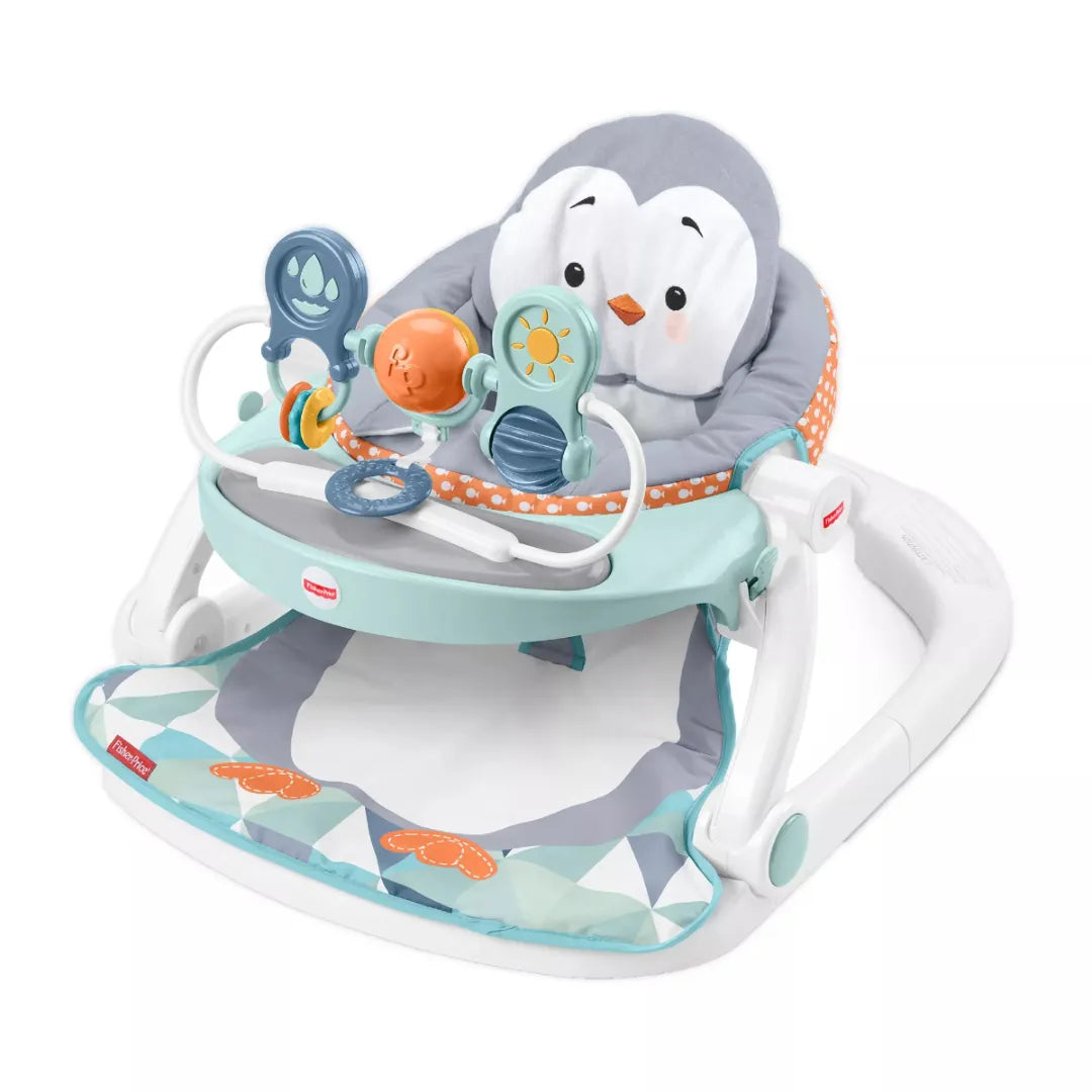 fisher price double stroller sit and stand Fisher-Price Portable Baby Chair Sit-Me-Up Floor Seat With Snack Tray And Removable Toy Bar, Penguin Island – REBEL