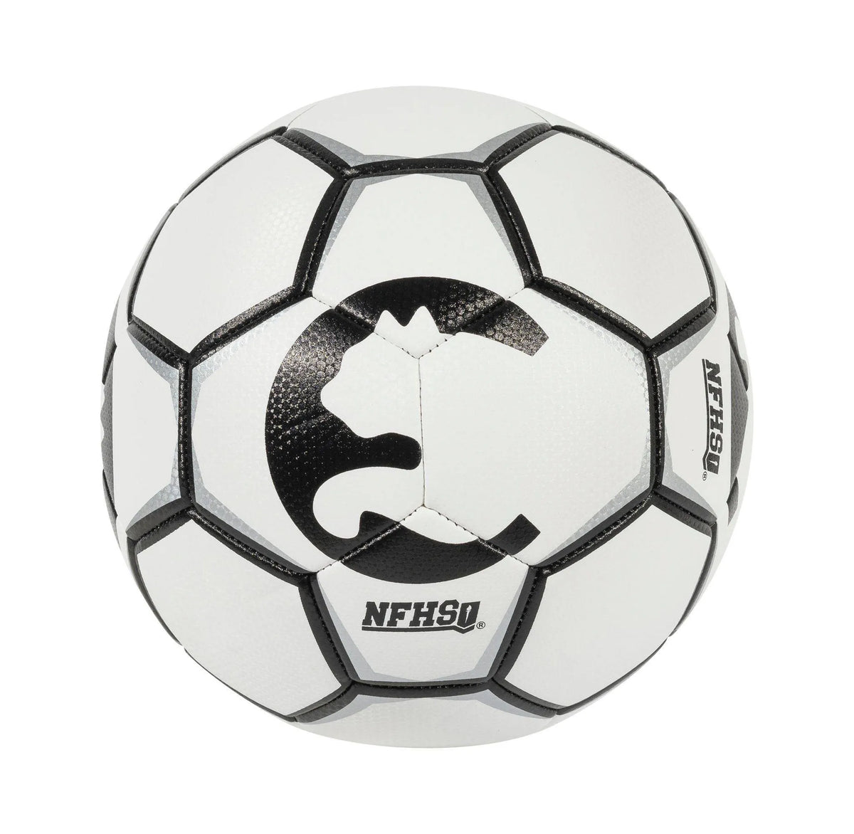 ProCat by Puma ProCat Breakaway Size 5 NFHS Ball - White – REBEL