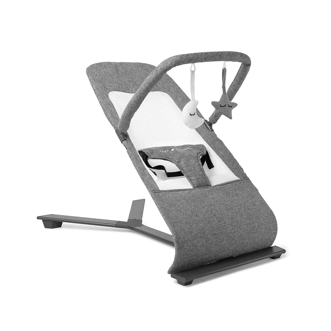 Baby Delight - Portable Bouncer - Alpine Deluxe - Charcoal - REBEL