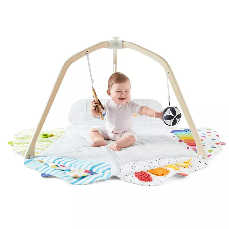 The Serengeti Activity Gym