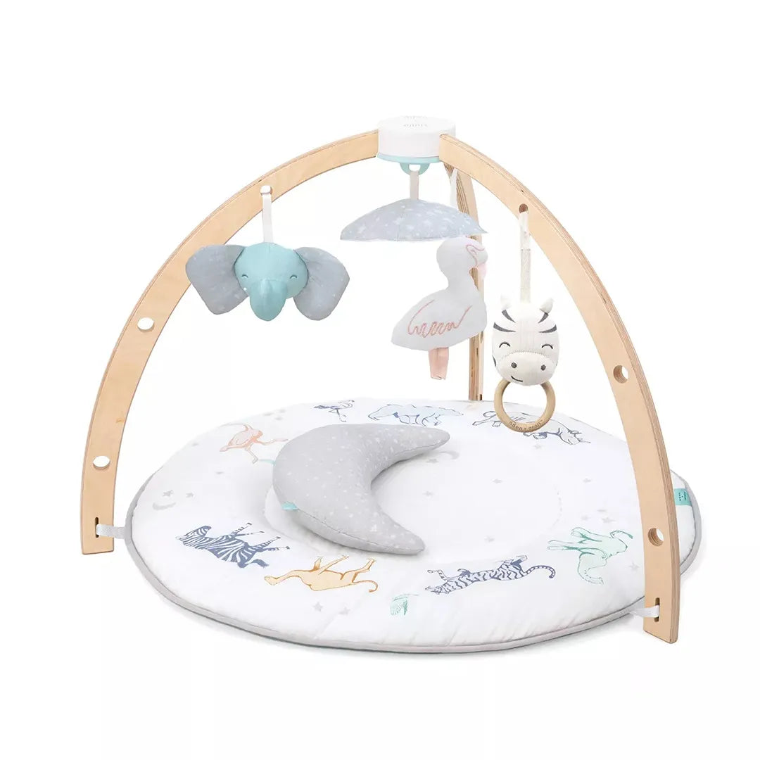 Aden + Anais Play + Discovery Activity Gym – REBEL