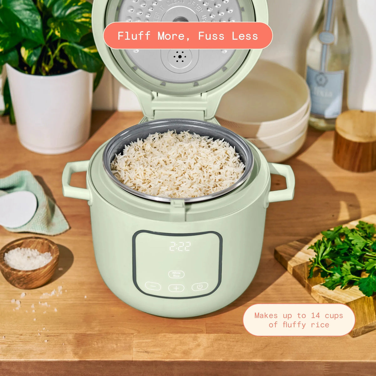 Beautiful Electric Rice and Grain Cooker - Sage Green – REBEL